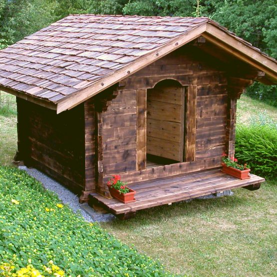 photos construction mazot