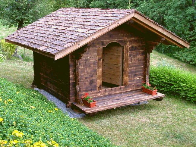 photos construction mazot